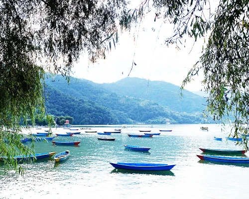 Boating In Phewa Lake Pokhara