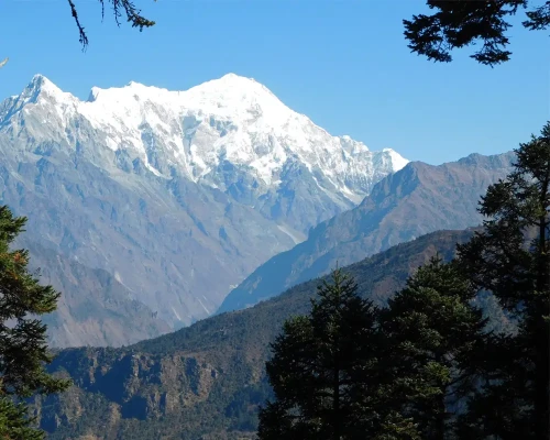 Langtang View From Cholang Pati