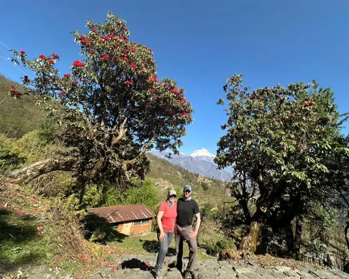 On The Way To Poon Hill