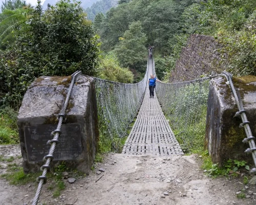 Suspension Bridge On The Way