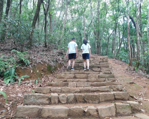 The Assending Stairs On The Way