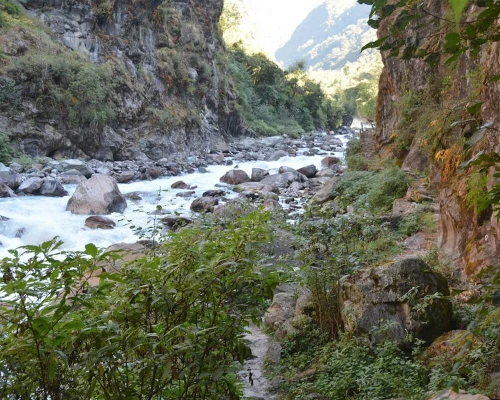 Trail To Kanchenjunga North Base Camp