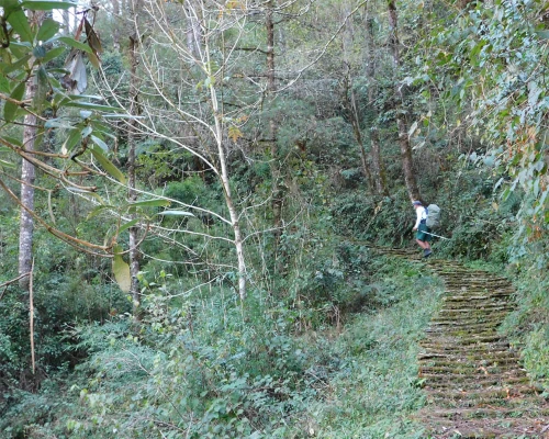 Walking Uphill In Mohare Danda Trek