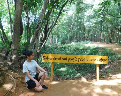 We Should Not Harm The Nature